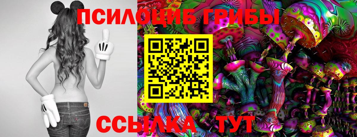 Псилоцибиновые грибы GOLDEN TEACHER Полысаево
