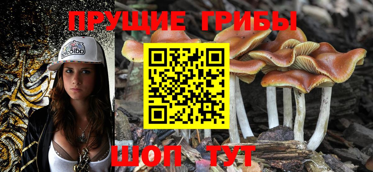 Канабис  Героин  Меф   Меф кристаллы  ГАШИШ  LSD-25  Полысаево  A-PVP СК кристаллы  ГАШ  Cocaine 