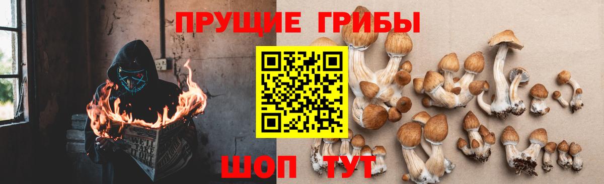 Полысаево  Галлюциногенные грибы мицелий  Вход с VPN 